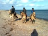 Billede 16