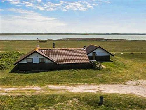 Ferienhaus - 6 Personen -  - Vejlby Klit - Vejlby Klit - 7673 - Harboöre