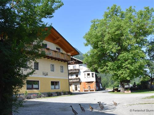 Bondegård - 5 personer -  - Nölbling - 9635 - Dellach