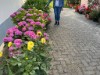 Bild 22