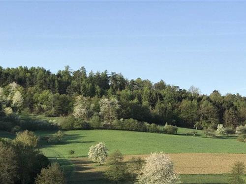 Sommerhus - 5 personer -  - 63825 - Blankenbach