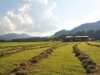 Bild 26