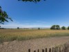Bilde 34 - Ude