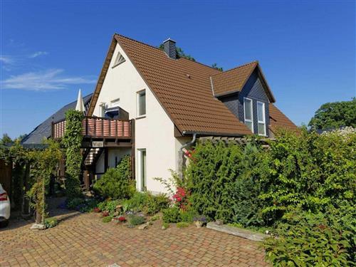 Holiday apartment - 2 persons -  - Fliederweg - 17454 - Zinnowitz