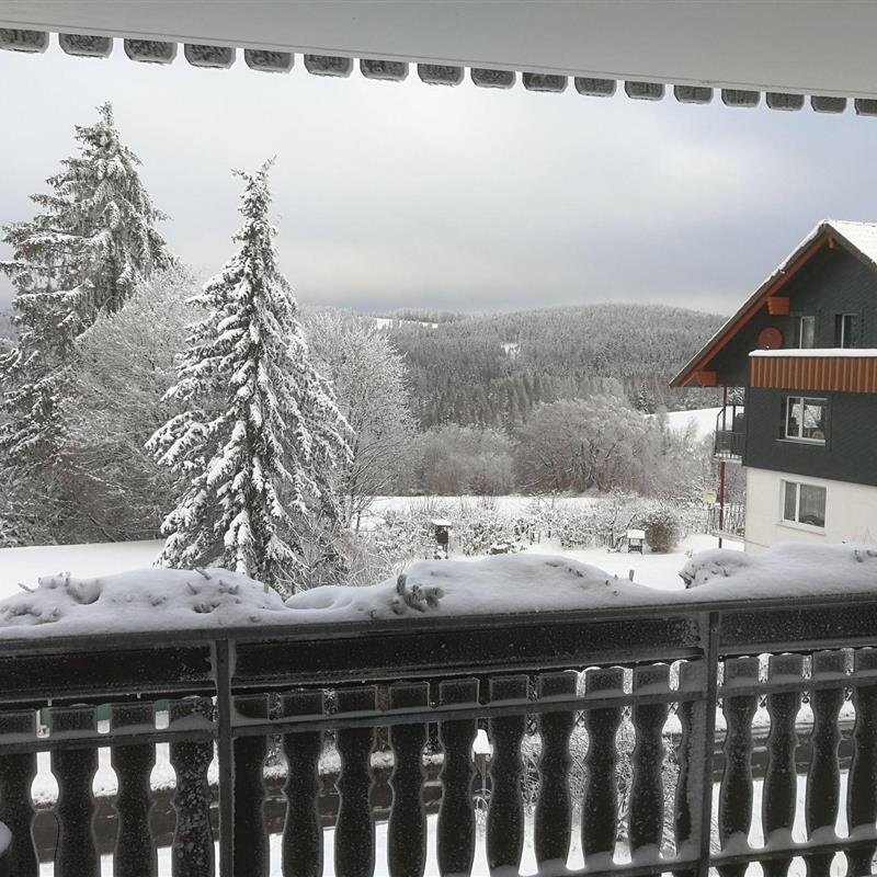 Ferielejlighed - 4 personer -  - Hindenburg Straße - 38700 - Braunlage / Hohegeiß