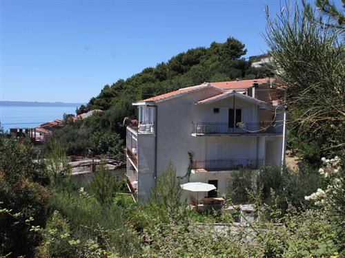 Holiday apartment - 6 persons -  - Brace Letica - 21327 - Podgora