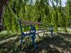 Bild 12