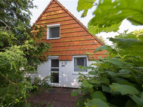 Holiday Home/Apartment - 6 persons -  - Vogelsand - 27639 - Wurster Nordseeküste