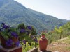Bild 22