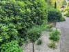 Bild 41