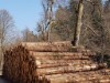 Bild 82 - Ude