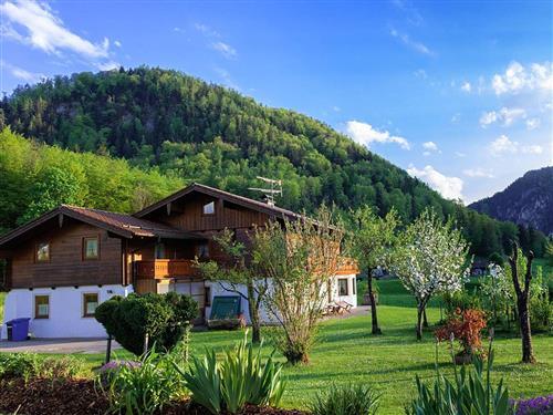 Ferieleilighet - 2 personer -  - Steinerweg - 83487 - Marktschellenberg