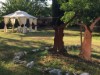 Image 14