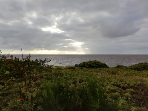 Sommerhus - 6 personer -  - Rævekrogen - 6893 - Hemmet Strand