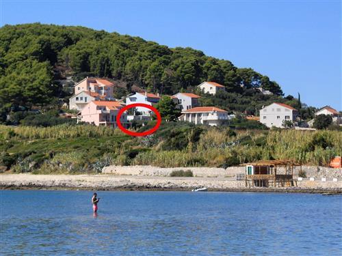 Ferieleilighet - 6 personer -  - Mala Postrana - 20263 - Lumbarda