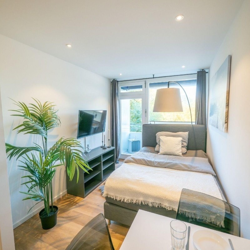 Ferielejlighed - 1 person -  - Dieckseepromenade - 23714 - Malente