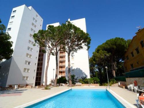 Holiday apartment - 4 persons -  - 17256 - Pals