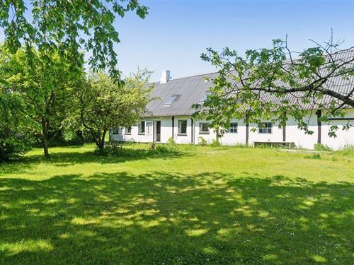 Sommerhus - 8 personer -  - Studebyvej - 3760 - Gudhjem