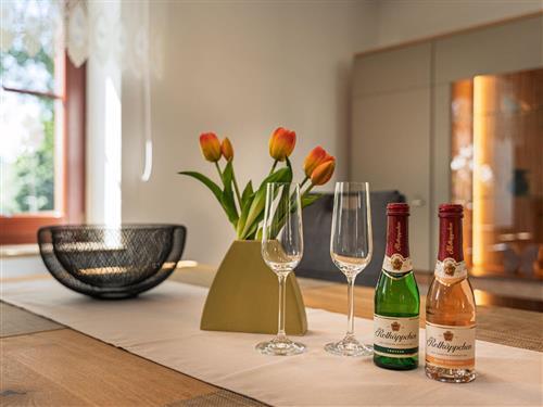 Ferieleilighet - 4 personer -  - Augusttal - 02779 - Hainewalde