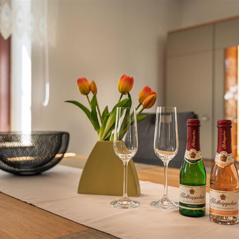 Ferielejlighed - 4 personer -  - Augusttal - 02779 - Hainewalde