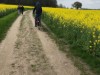 Bild 17