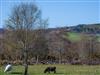 Image 27 - Outside
