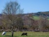Bild 27 - Aussen