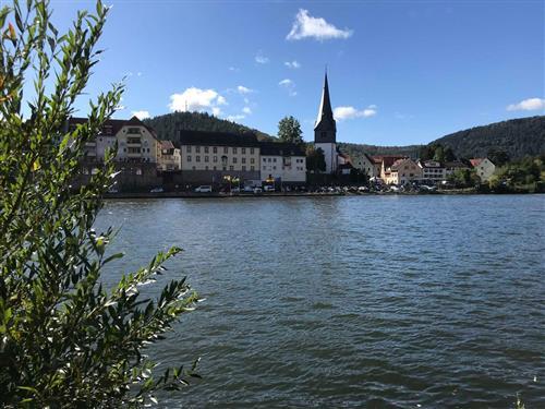 Holiday apartment - 3 persons -  - Wiesenbacher Straße - 69151 - Neckargemünd