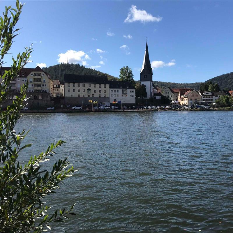 Ferielejlighed - 3 personer -  - Wiesenbacher Straße - 69151 - Neckargemünd