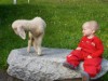 Bild 16