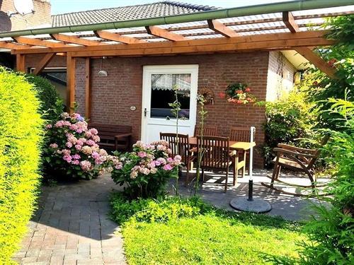 Ferielejlighed - 4 personer -  - Masselberg - 23738 - Schwienkuhl