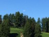 Bilde 28 - Ude