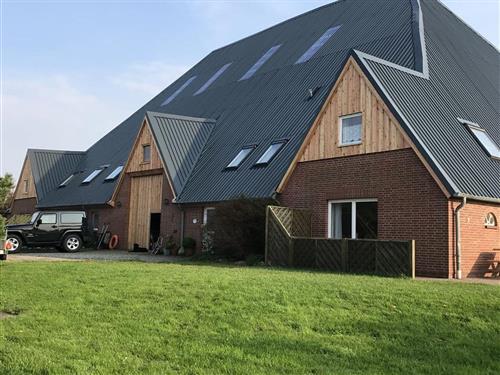 Bondegård - 5 personer -  - Kömdiek 10 (Alleinlage nahe Westerhever) - 25836 - Osterhever