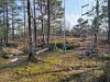 Bild 17