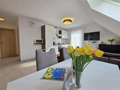 Ferieleilighet - 2 personer -  - Nordmarkstraße - 26506 - Norden