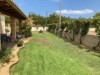Billede 8