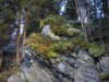 Bild 16