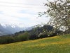 Billede 19
