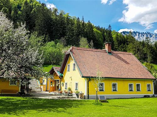 Feriehus / leilighet - 11 personer -  - Scheiterboden - 8693 - Mürzsteg