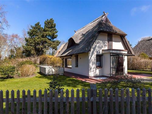 Sommerhus - 5 personer -  - Heinrich-Schlotermann-Weg - 18347 - Ostseebad Ahrenshoop