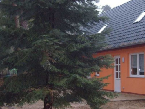 Ferielejlighed - 6 personer -  - Teterower Chaussee - 18273 - Güstrow / Klueß