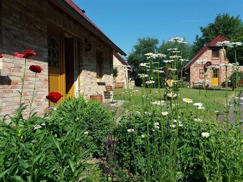 Feriesenter - 7 personer -  - Öko, Kamin, Sauna, Whirlwanne, Spielplatz, allergikergerecht - 18230 - Bastorf / Mechelsdorf