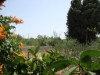 Image 14