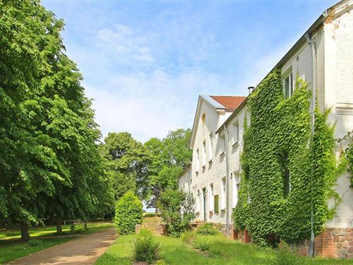 Semesterhus/Semesterlägenhet - 2 personer -  - Am Nationalpark - Ankershagen Ot Friedrichsfelde - 17219 - Ankershagen Ot Friedri