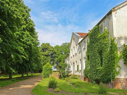 Semesterlägenhet - 2 personer -  - Am Nationalpark - Ankershagen Ot Friedrichsfelde - 17219 - Ankershagen Ot Friedri