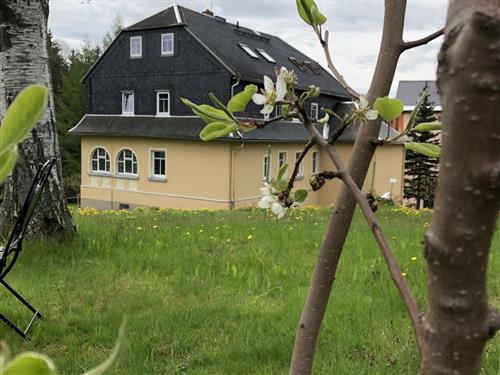 Ferienwohnung - 2 Personen -  - Hauptstr. - 09544 - Neuhausen-Erzgebirge