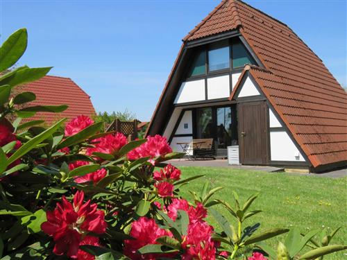 Sommerhus - 6 personer -  - Feriendorf Altes Land - 21723 - Hollern-Twielenfleth