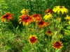 Bild 13 - Innen