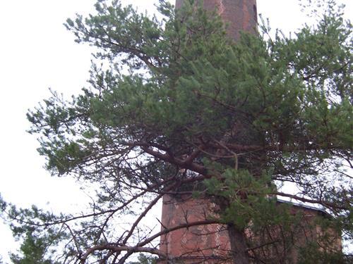 Semesterlägenhet - 2 personer -  - Waldstraße 64 b - 18375 - Prerow