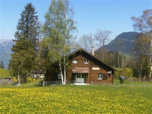Holiday apartment - 7 persons -  - Haldi B. Schattdorf - 6469
